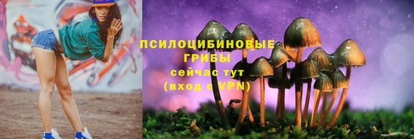 герыч Инта
