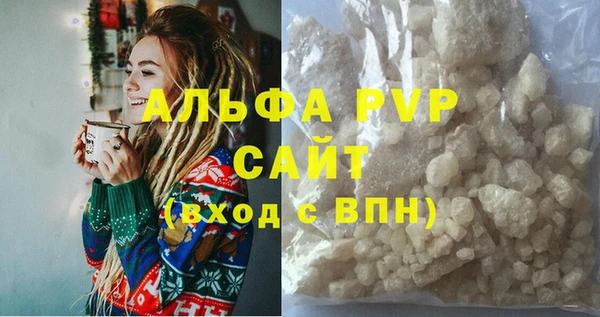 гашик Инсар