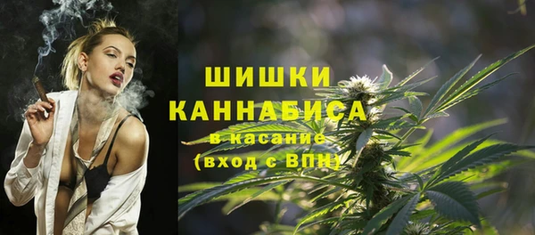 гашик Инсар