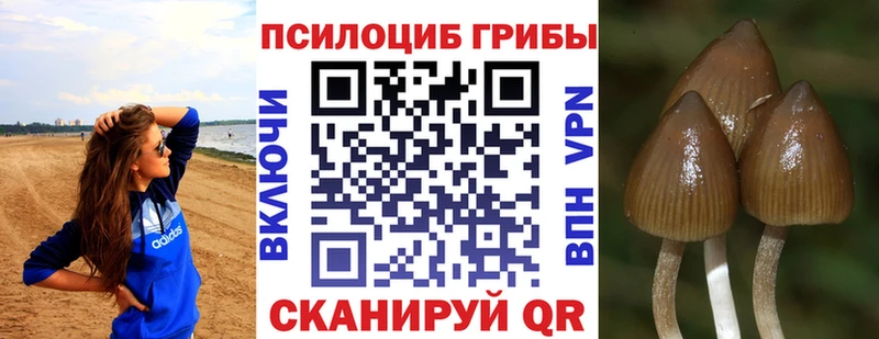 Псилоцибиновые грибы MAGIC MUSHROOMS  Купить где  Приволжский 